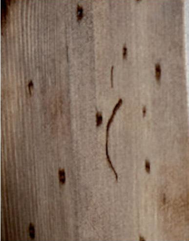 HOCHSTOCK-MEGAPHONKONSTRUKTION AUS HOLZ