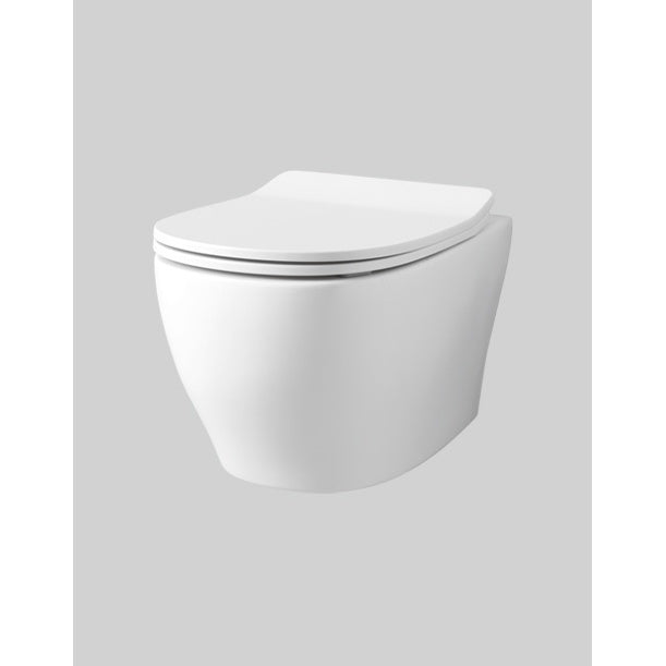 Slim Ten Reibungs-Toilettensitz